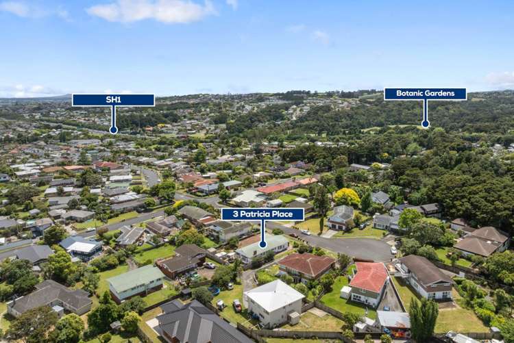 3 Patricia Place Hill Park_18