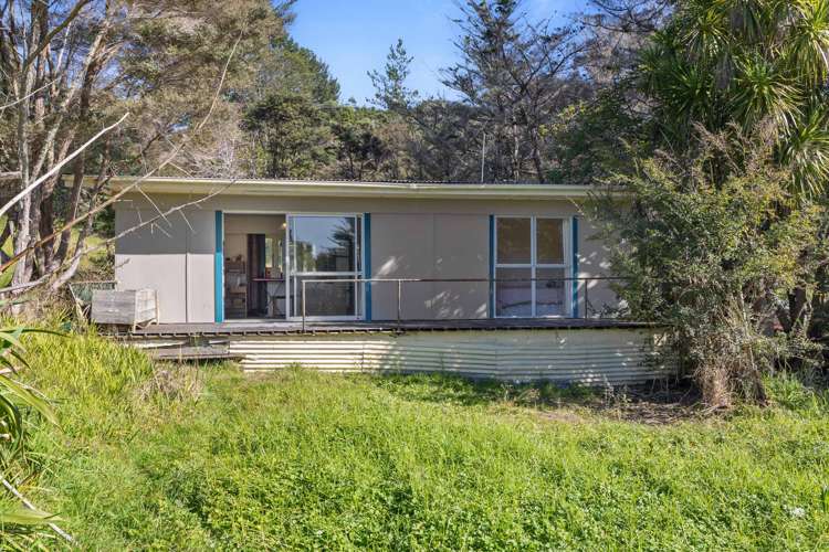 167 Simpson Road Henderson Valley_10