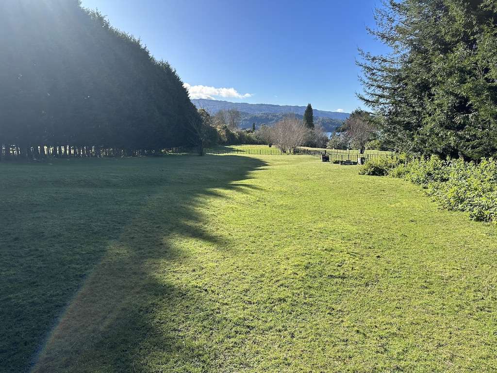 331 Spencer Road Lake Tarawera Rotorua Houses for Sale One Roof