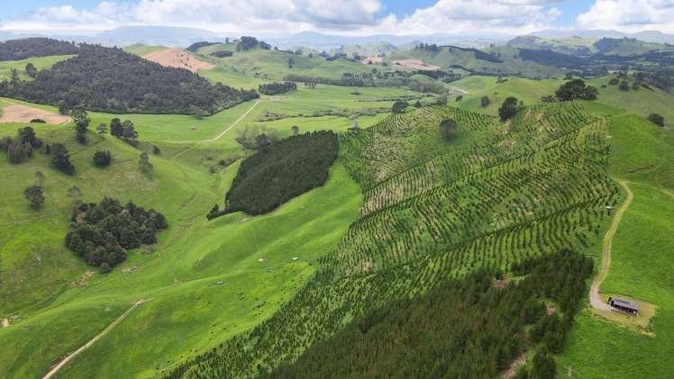 Lot 2 Te Kopia Road Waikite Valley_9