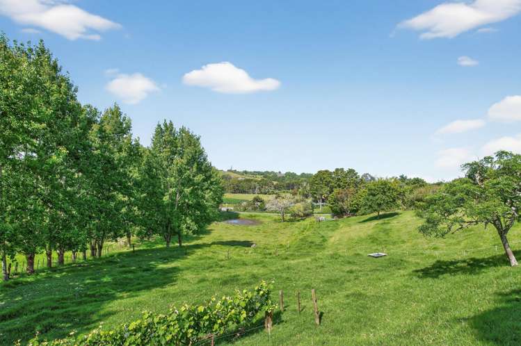 386 South Road Waipu_20