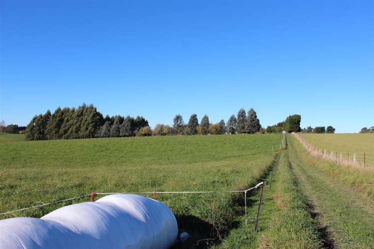 278 Beaconsfield Road Fairview_16