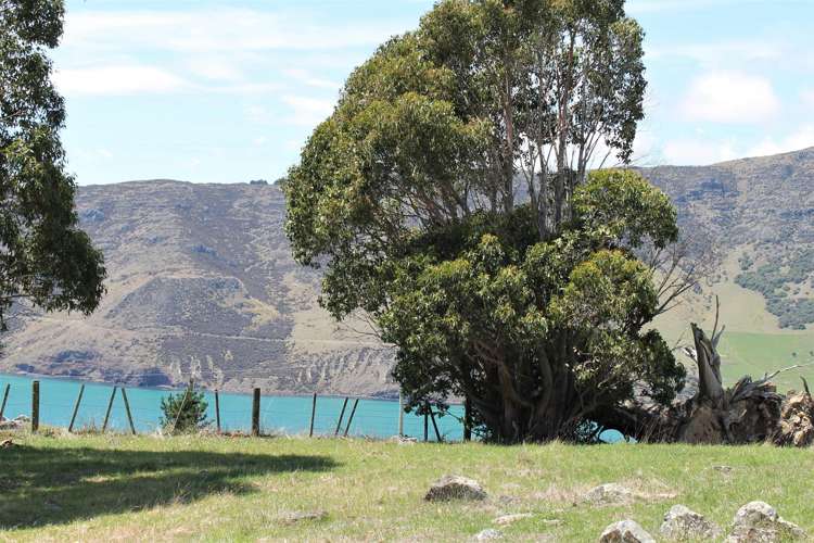 410 Little Pigeon Bay Road Pigeon Bay_4