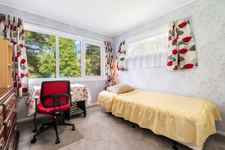 443 Pine Valley Road Dairy Flat_8