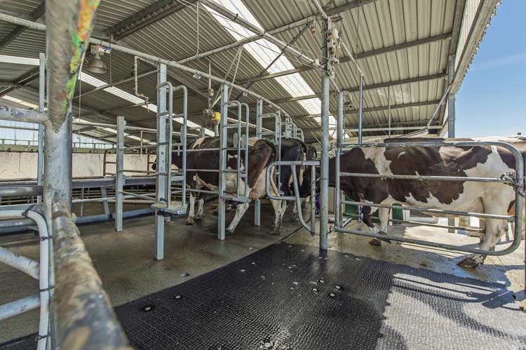 1610 North Rakaia Road Southbridge_5