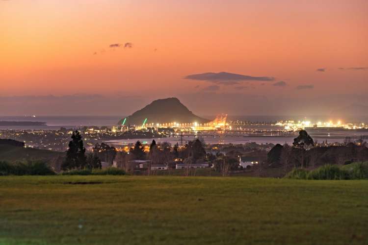 80b Neewood Road Ohauiti_24