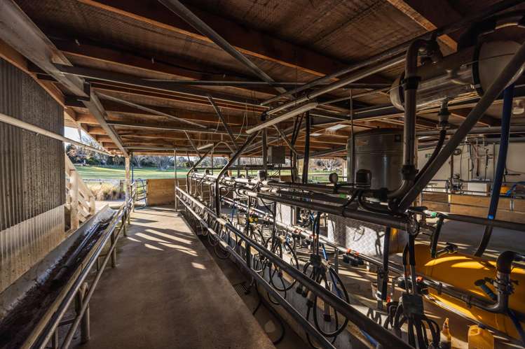 27 Bulleid Road Deborah_28