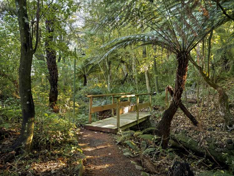 52 Saint Leonards Drive Saint Leonards_25