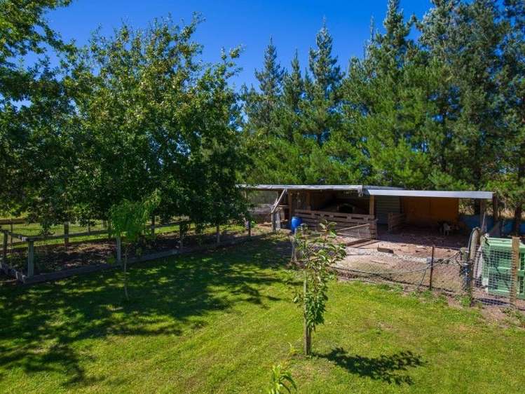 3 Gibsons Road Kaituna_9