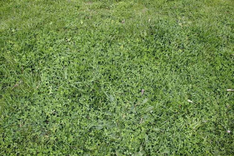 187 Katavich Road Awanui_11