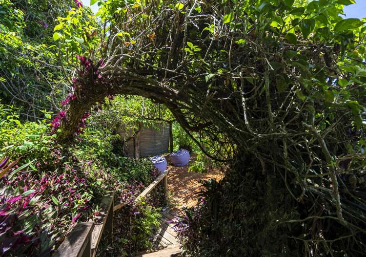 Address withheld Coral Coast_38