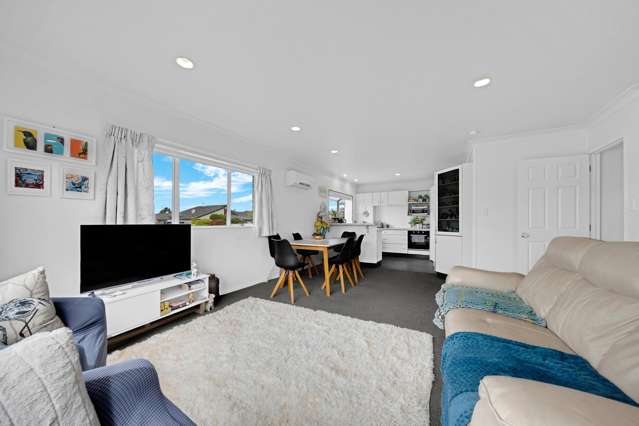 27 Cooper Street Pukekohe_3