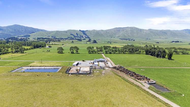 129-139 Tamatarau Road Tokomaru_14