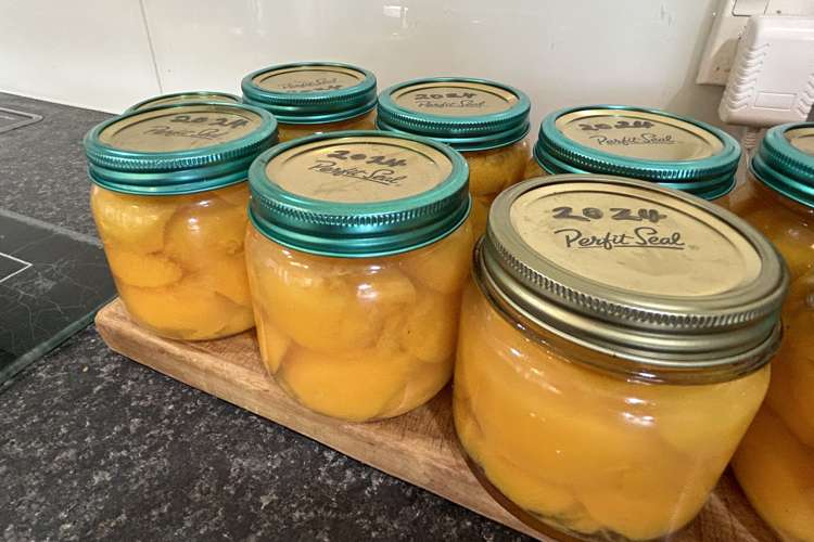 38 Ruataniwha Drive Collingwood_5