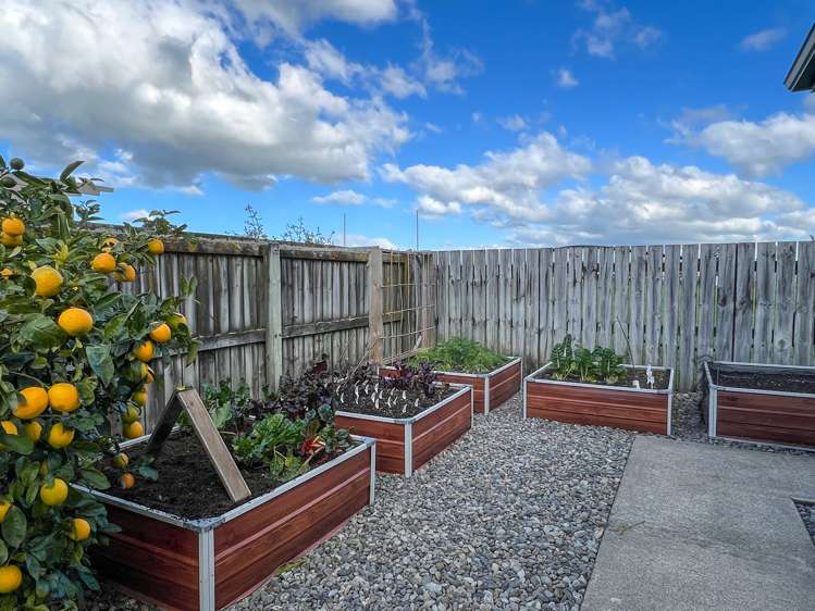 6 Alexis Greer Lane Carterton_19