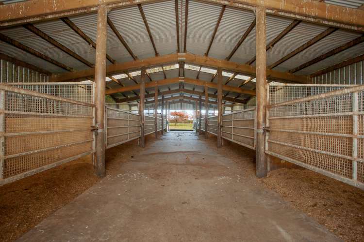 1463 Alexandra Road Waharoa_4