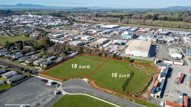 16 Keith Camp Place Morrinsville_1