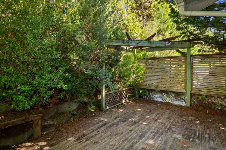 50 August Street Stokes Valley_10