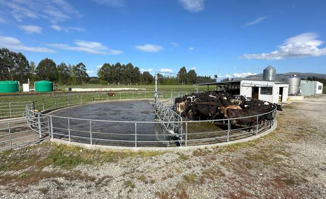 Semi self-contained dairy farm