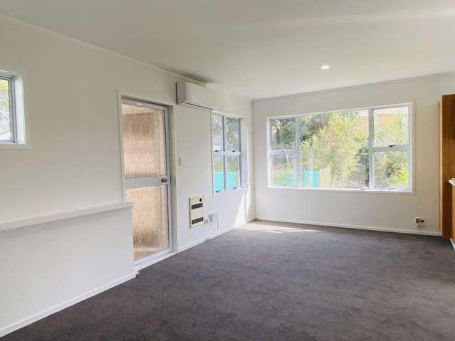 20A Geneva place, Blockhouse Bay, Auckland