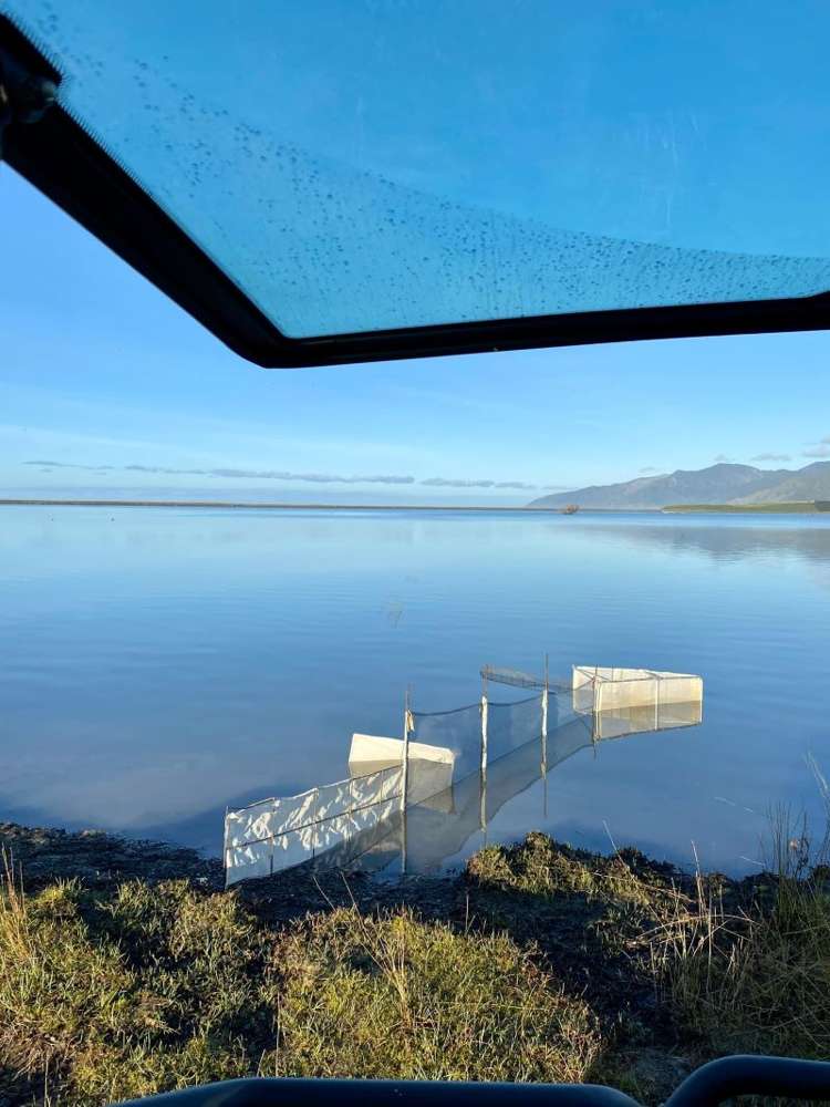 86 Lake Ferry Road Lake Ferry_17