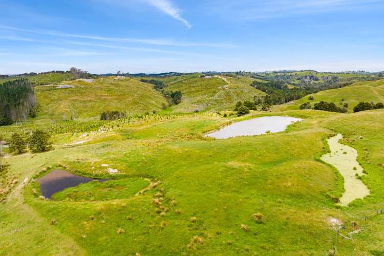 1228a Bull Road Paparoa_21