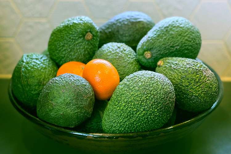 79 Fuller Road South Head_25