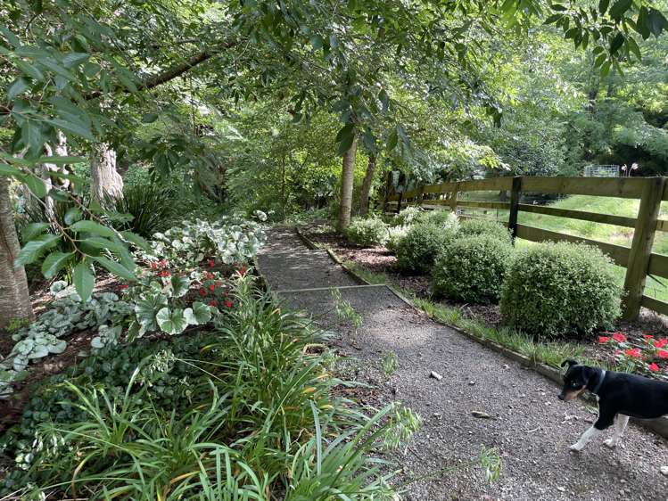 50 Holcombrooke Lane Welcome Bay_9