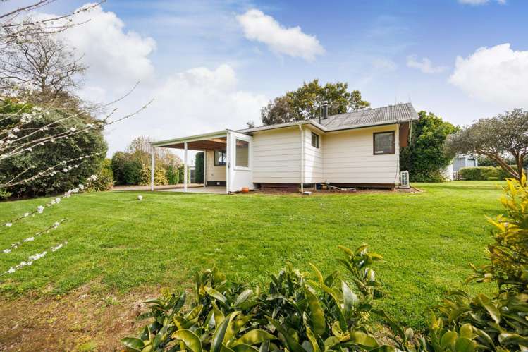 260 Haynes Line Feilding_19