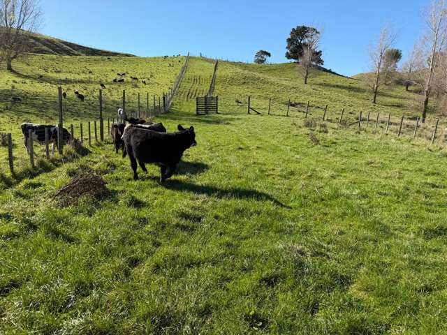 196 Ngapaeruru Rd Dannevirke_1
