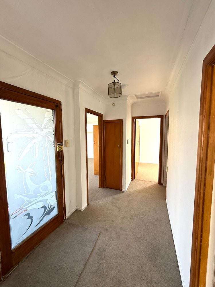 21 Littlejohn Street Hillsborough_16