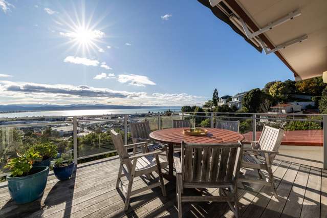 Elevated Living, Unmatched Views