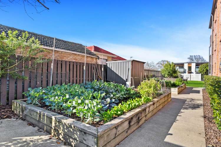 18/128 Saint George Street Papatoetoe_13