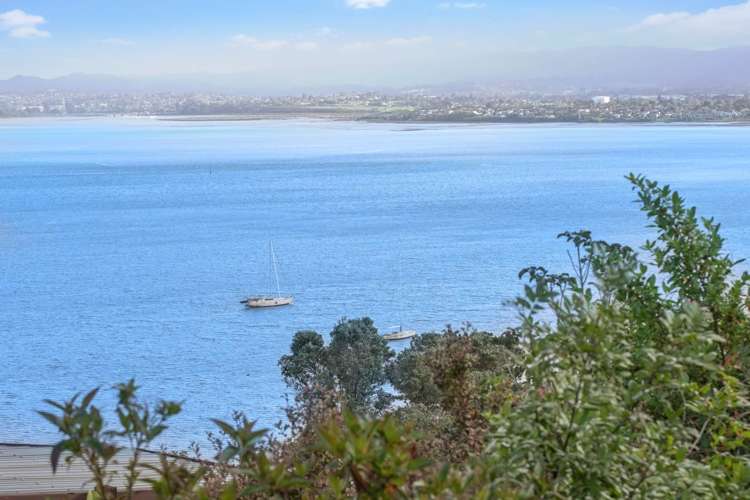 28 Mayall Avenue Beach Haven_24