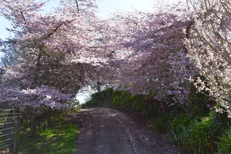 1109 Poihipi Road Oruanui_5