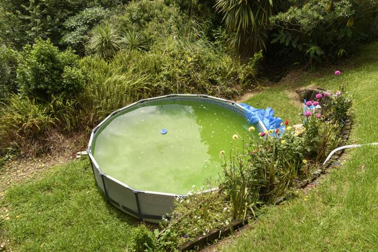 340 Otumoetai Road Otumoetai_17