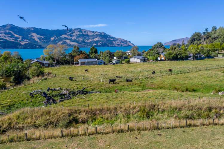800 Wainui Main Road Wainui_15