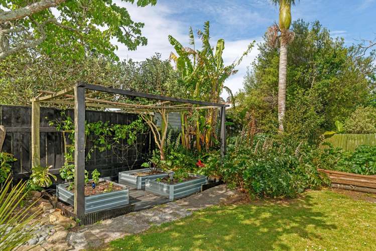 177 Fox Street Whataupoko_25