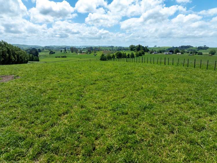 117 Manion Lane Morrinsville_8