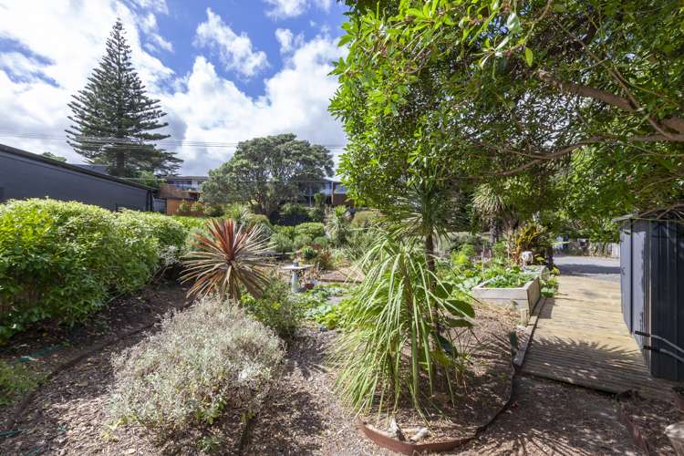 63 Rosetta Road Raumati South_6
