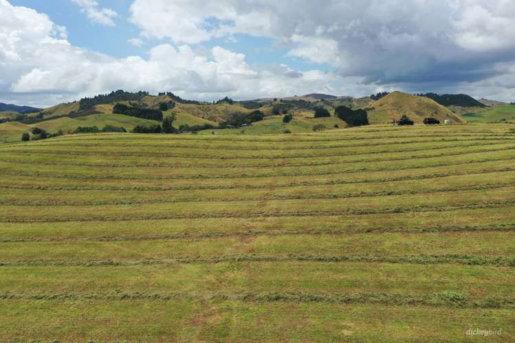 211 Waitetuna Valley Road Raglan_8