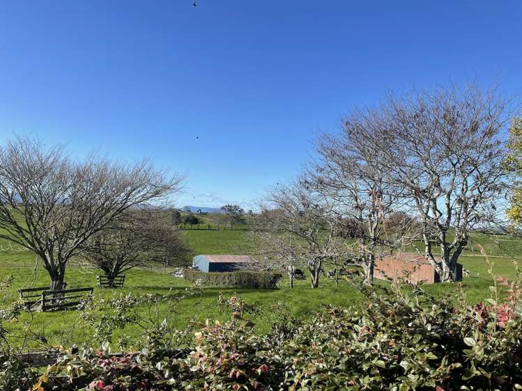 535 Hangawera Road Morrinsville_19