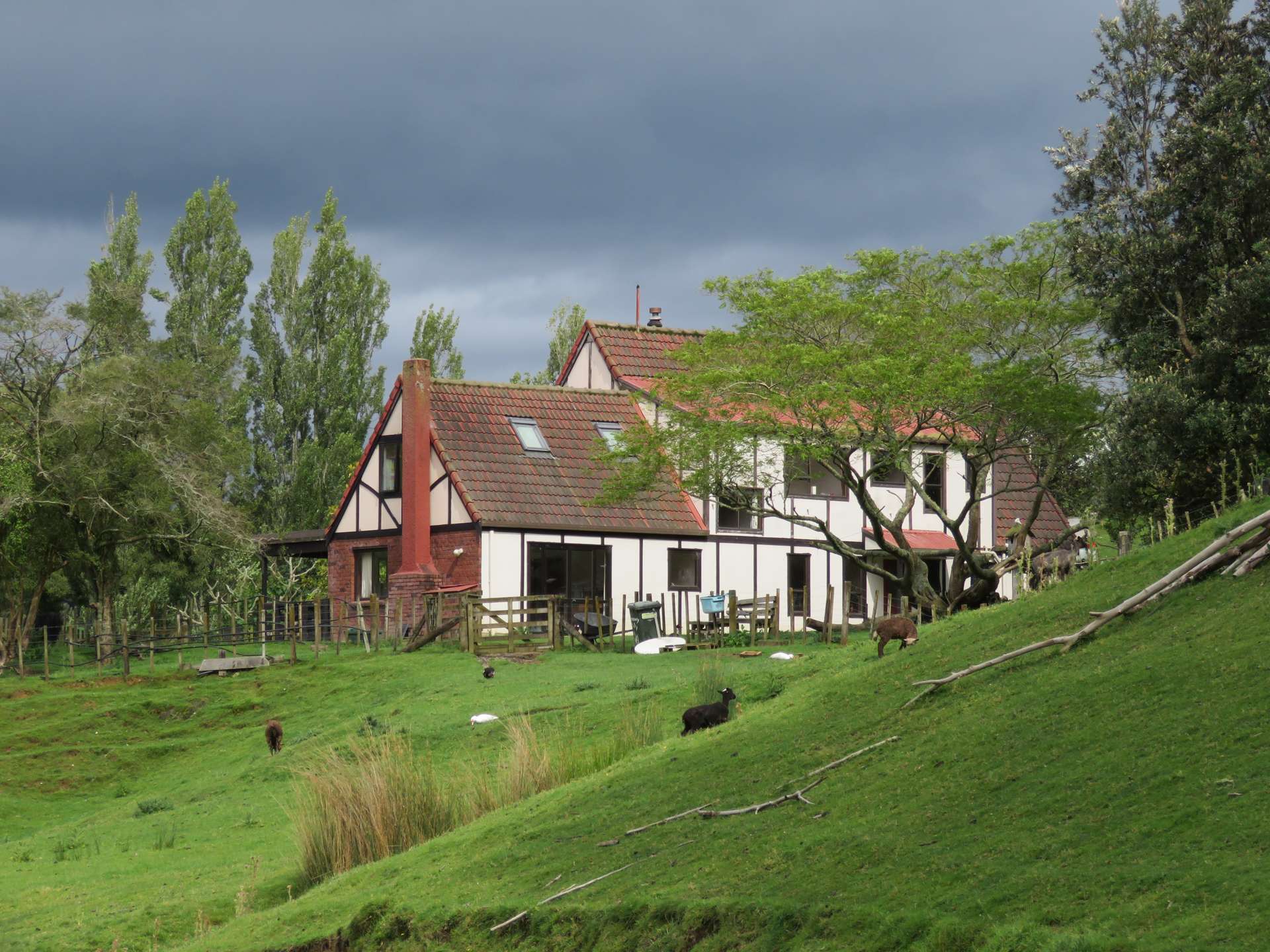 3100 Whanganui River Road Taumarunui Ruapehu Rural Property For