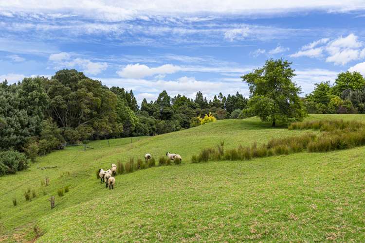 1439 Old North Road Helensville_25