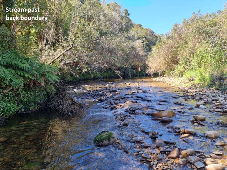 Blue Spur Road Hokitika_11