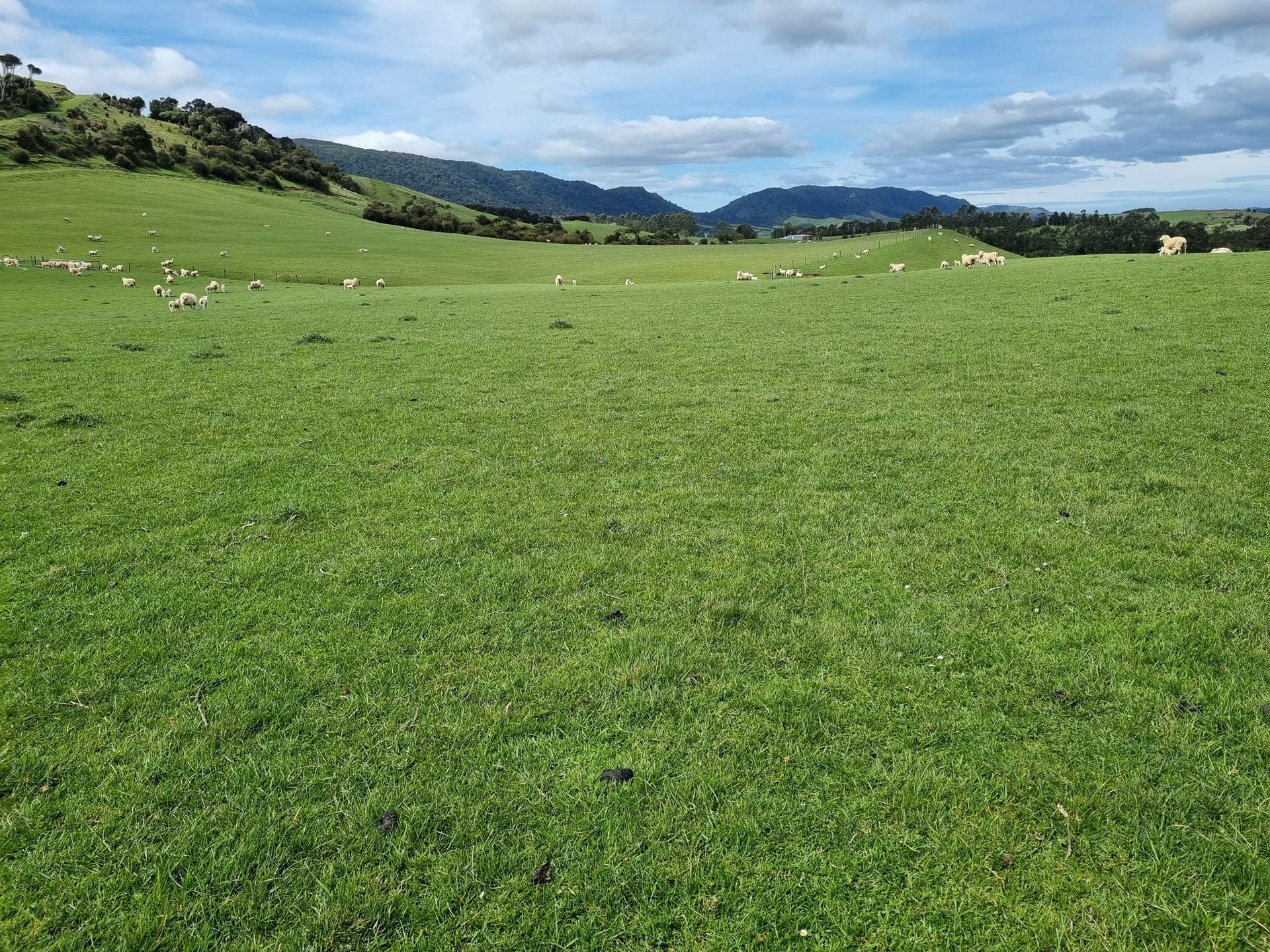 Tahakopa Valley Road Catlins Surrounds_0