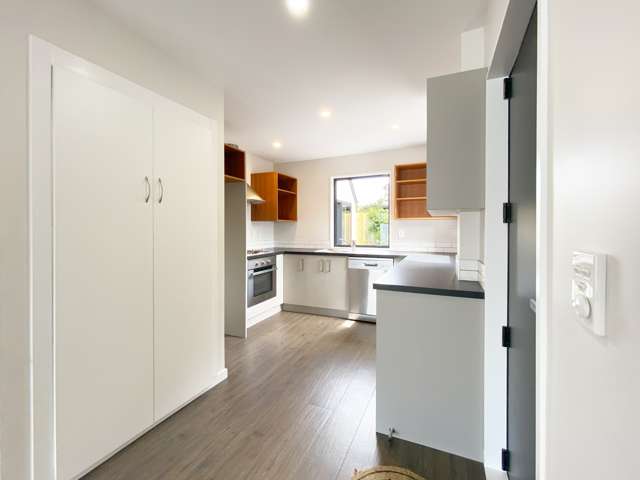 37 Rhodes Street Merivale_3