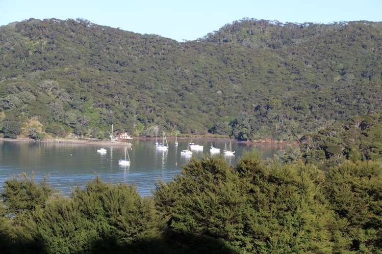 6 Harpoon Hill Great Barrier Island (Aotea Island)_6