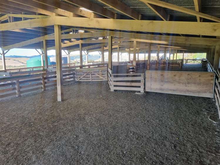 1520 Akatore Road Akatore_14