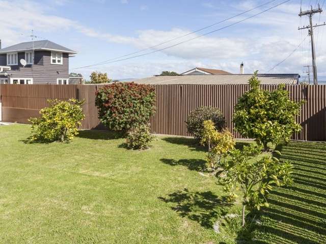 20 Trotter Avenue Waiomu_2